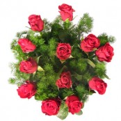 12 freedom red roses